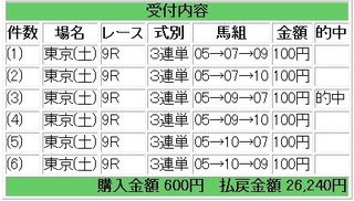 2012年1月28日東京9R26240円.jpg