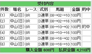 2013年1月6日中山8R4210円.jpg