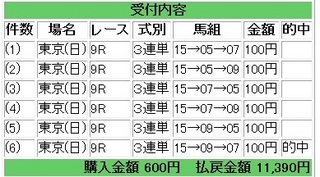 2013年2月17日東京9R11390円.jpg