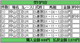 2013年3月15日中山12R3870円3連複 keiba.png