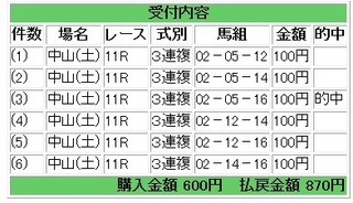 2013年3月9日中山11R870円.jpg