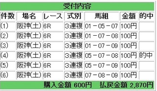 2013年4月13日阪神6R2870円3連複.jpg