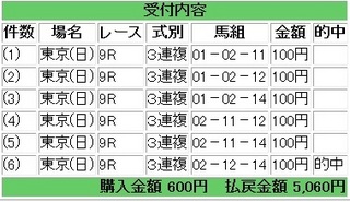 2013年4月28日東京9R5060円3連複.jpg