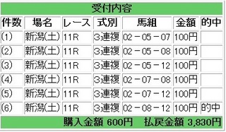 2013年5月11日新潟11R3830円3連複.jpg