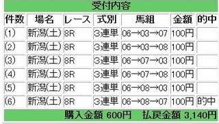 2013年5月4日新潟8R3140円.jpg