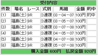 2013年6月29日福島9R920円3連複.jpg