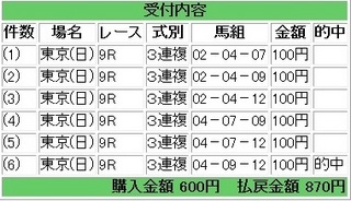 2013年6月2日東京9R870円3連複.jpg