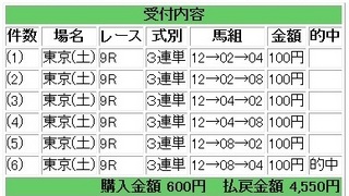 2013年6月8日東京9R4550円.jpg