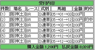 2013年9月14日阪神ジャンプS4010円.jpg