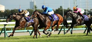 スプリンターズステークス2021-2.jpg