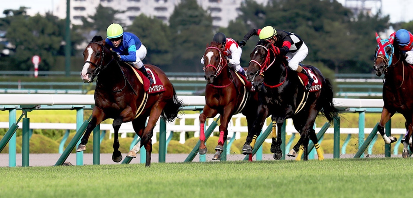 阪神ジャンプs レインボーs 大府特別本命 対抗 穴馬 ３連単６点予想