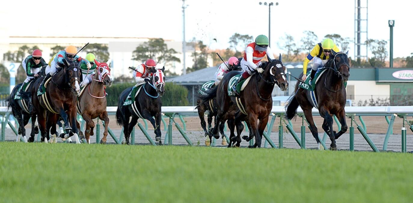 中日新聞杯 師走ステークス リゲルステークス本命 対抗 穴馬 ３連単６点予想