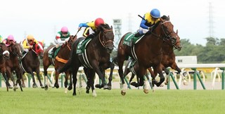 新潟記念2021-2.jpg